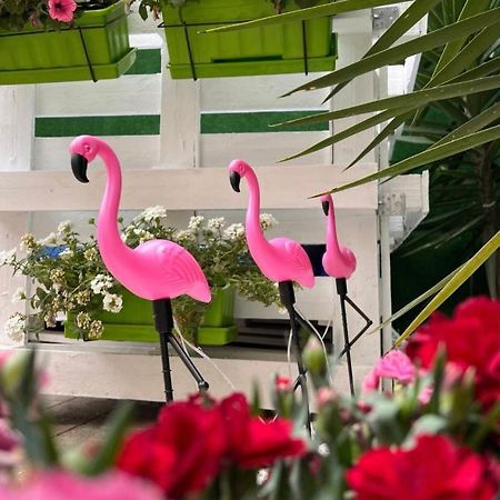 Готель Casa Flamingo Фігейра-да-Фош Екстер'єр фото